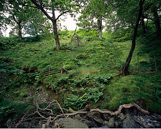 黄色软件app大全免费下载2023安装手机版｜2023年度热门黄色软件APP大全，免费下载安装攻略-3