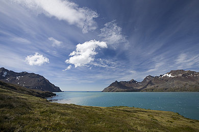 春雨直播在线下载｜春雨直播新突破，一键下载，畅享便捷视听盛宴-1