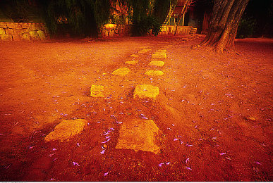 色情大胸爆乳激情吃奶打扑克｜探寻古代扑克奇俗：揭秘“色情大胸爆乳激情吃奶打扑克”的文化奥秘-1