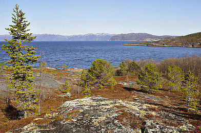 精东aⅴ一二三天美传媒｜创新与责任交融下的新传媒探索之路-2