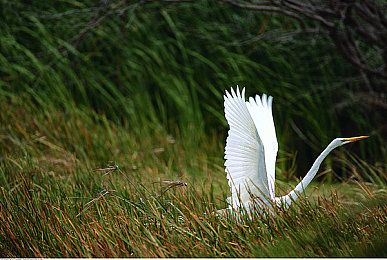 五月网｜五月网：创新引领潮流，打造网络社交新风尚-3