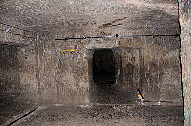 二人世界拔萝卜全程记录｜田园共度，情谊拔升-3