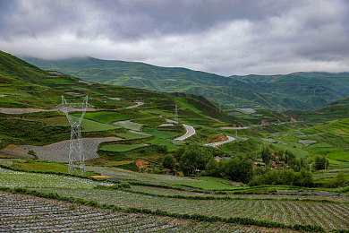 七八个变态用毛笔戳我尿孔｜“毛笔戳尿孔暴力事件引发关注：警方全力追捕，受害者心理康复引担忧”-3