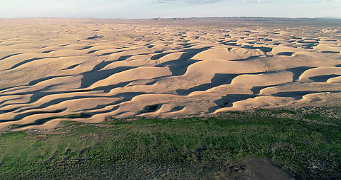 黑人巨大最猛黑吊｜多元审美之旅：探索“黑人巨大最猛黑吊”背后的文化奥秘-1