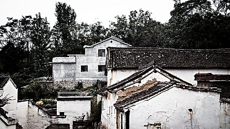 91香｜自然灵韵，91香焕新商务魅力-3