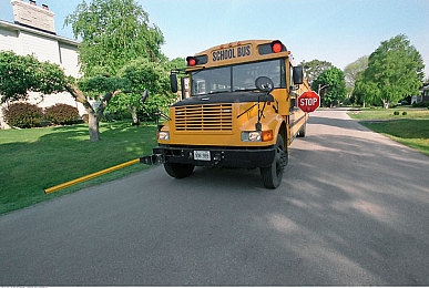 凌云壮志女版(法国)满天星｜“璀璨星空，女性科学追梦者：凌云壮志，照亮未来之路”-1