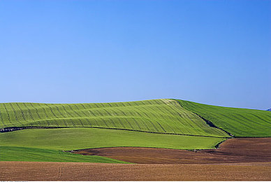 女高中生 脱裤子打屁股X|校园暴力终结者:守护青春,和谐校园-2