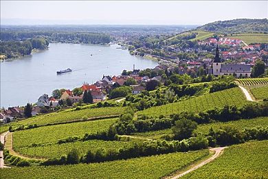 养猪场的四个女儿|温馨家庭养成游戏《养猪场的四个女儿》来袭,亲情互动体验温馨生活-2