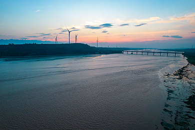 小孩和妈妈摘萝卜｜亲子欢乐农场：萝卜采摘快乐时光-2