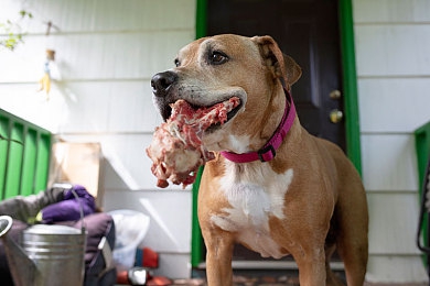 博雅和榜一大哥｜直播风云：博雅榜一大哥的文艺与带货传奇-1