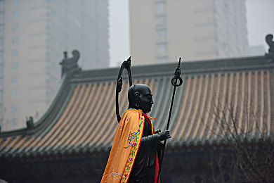 张柏芝27张木耳谁看过｜木耳基地奇遇记：张柏芝环保公益之旅-3