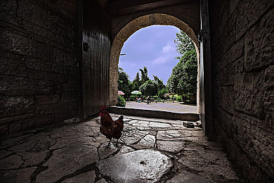 午夜试看120秒免费5次｜午夜限时抢鲜看，5次免费引热议-2