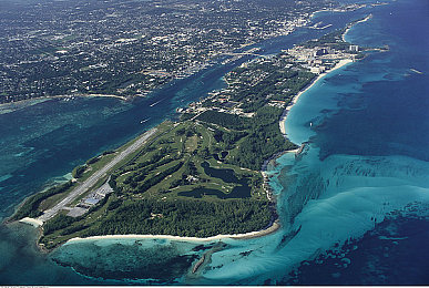 全国最大的成人网站｜网络净化行动：揭秘全国最大成人网站幕后真相-3