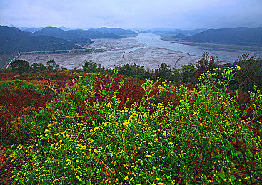 成人福利涩app导航泡芙短视频|短视频时代的成人内容探险之旅-2