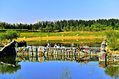 天美传媒果冻传媒的推广方式｜数字营销新先锋，内容与互动的奇妙结合-2