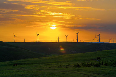 女子学校时间暂停1—4｜“时间暂停魔法，女性高效学习新利器”-1