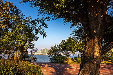 农民农村野性BBw|探索农村野性,与BBw共筑农耕梦想-2