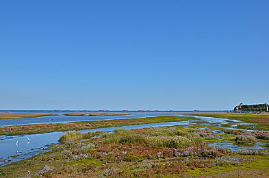 成人火影｜忍者精神现代演绎：成人火影的挑战之旅-1