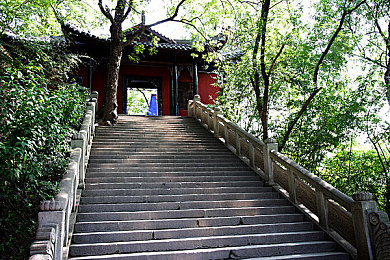 香蕉超级碰碰|香蕉狂欢,碰碰乐无边-1