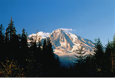 一级不卡|畅游无界,一“级”不卡,游戏体验再升级-3