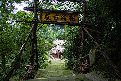 91香｜自然灵韵，91香焕新商务魅力-4