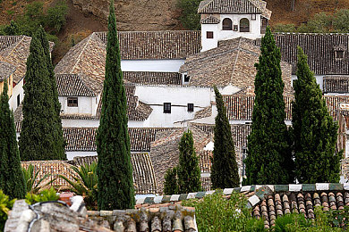 海贼王女帝汉库克被海军汉化版｜海贼王女帝汉化版形象引热议：本土化与原作魅力如何平衡-2