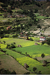 大长径网页版登录入口|畅游新界,便捷登录,大长径网页版体验升级-1