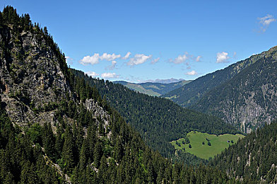 梦莹伟忠十一篇回乡祭祖|“创新祭祖应用“梦莹伟忠十一篇”走红,游子远程缅怀传承家族记忆”-2