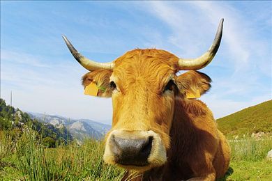 同性Gay   免费网战｜网络战场：同性恋权益捍卫之旅-1