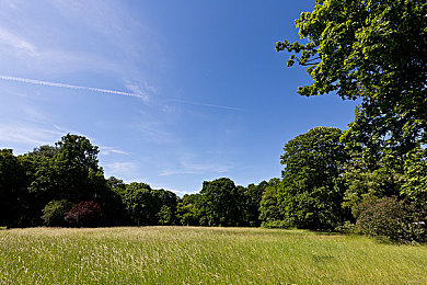 男男Gay黄污网站www体育生｜“运动情缘交汇，体育生专属交友天地拓展新视野”
