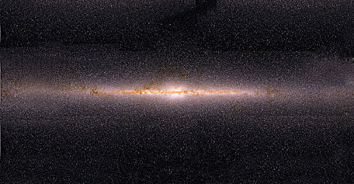 丰满的亚洲女人毛茸茸｜自然魅力绽放：丰满亚洲女性毛茸茸之旅-2