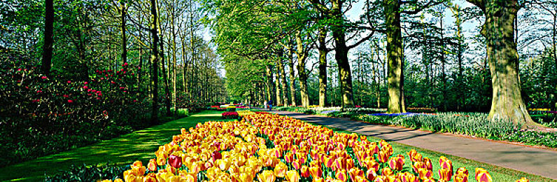 一区av｜揭秘一区AV：探索成人影视的传奇与魅力-2