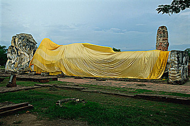 数学课代表趴下让我C|友谊助力,梦想C程——校园互助成长记-1