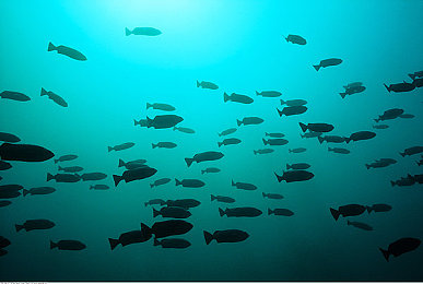 抖音视频意外走7028｜抖音走红秘籍：创意互动，音乐助力，热门话题解锁成功-4