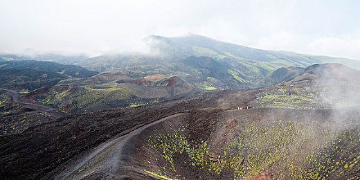 男生女生差差差下载|揭秘男女差异:下载行为中的“男生女生差差差”现象探秘-2