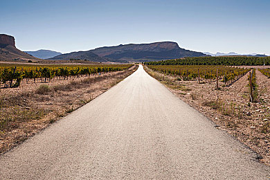 揉我奶 啊 嗯高潮樱奈|偶像言论风波引发社会反思与责任意识觉醒-1