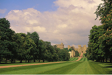 91破解版在线入口视频在线观看|揭秘“91破解版”软件:免费视频背后的风险与版权问题-1