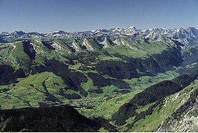 一区二区黄｜视听盛宴，一区二区黄，畅享娱乐新境界-1