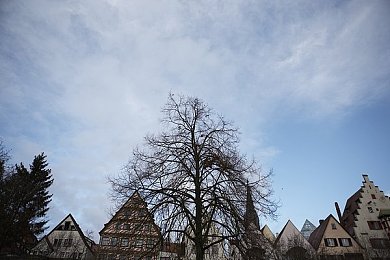 麻豆性｜麻豆魅力，品牌崛起，影响力加速之旅-1