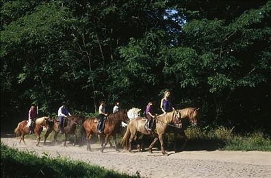 BBC跨越种族黑白配|奇幻大陆的黑白融合之旅:种族和解的奇幻冒险之旅-2