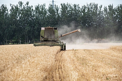 黄色3.3.0|探险新篇章:挑战无尽,升级攻略,畅游“黄色3.3.0”世界-1