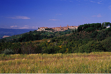 捆绑玩弄体育生Gay2022｜校园守护者：揭秘捆绑阴影，守护青春阳光-3