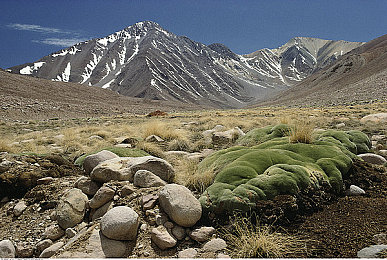 59pao|59pao影视盛宴,畅享视听新境界-3