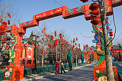 最新ZoomKOOL牧场｜牧场智能升级，绿色生态共赢-3