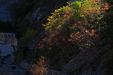 黄色富二代|奢华足迹:富二代奢华生活揭秘之旅-1