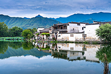 黄色直播软件3.0.3｜网络直播乱象警示：道德伦理与网络安全待重塑-2