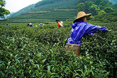 欧美多人｜破界融合，共创全球精英协作新篇章-2