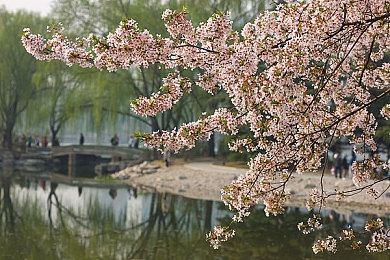 爱弓りょう最近新剧｜爱弓りょう新剧来袭：游戏角色演绎新篇章，情感纠葛引人入胜-2