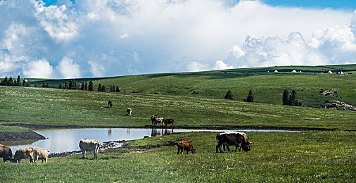 yeezy蜜桃黄和白色区别|潮流对决:Yeezy蜜桃黄与白色,鞋履美学大揭秘-2