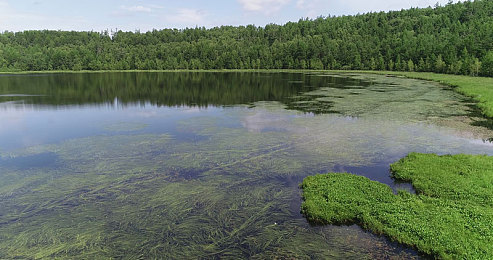 XXⅩXX意大利色情复古|复古魅力新风尚,XXⅩXX意大利风情独领风骚-2
